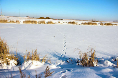 В Атырауской области охота обернулась трагедией