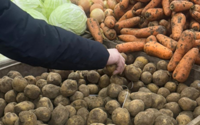 Цены на большинство продуктов в Казахстане ниже, чем в других странах ЕАЭС - Минторговли