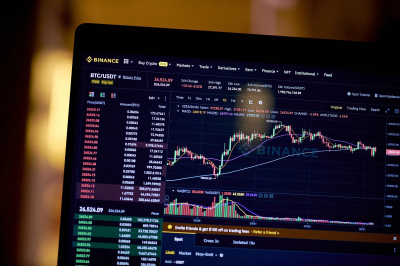 Binance на годовом пике доли рынка. В чем секрет?