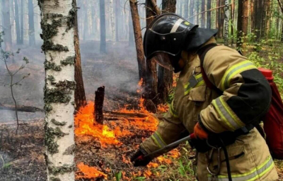 На 100% повысили зарплаты лесникам в Казахстане