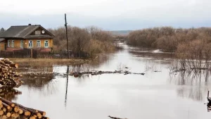 «Тасқын су 1,5 метрге дейін көтерілді». Түркістан облысында бірнеше елдімекенді су шайды